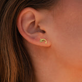 Whale Shark Solid Gold Post Earrings GER2214