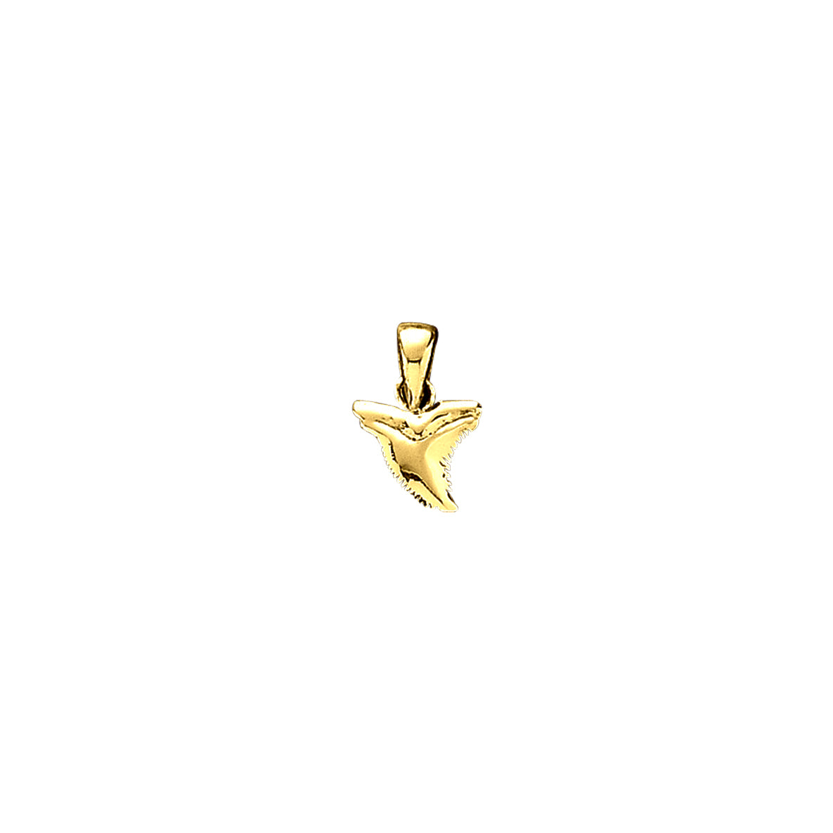 Small Shark Tooth Solid Gold Pendant GPD3784