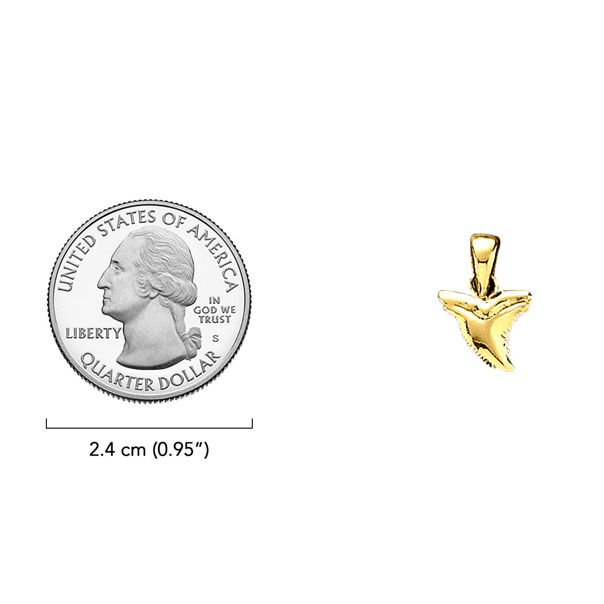 Small Shark Tooth Solid Gold Pendant GPD3784