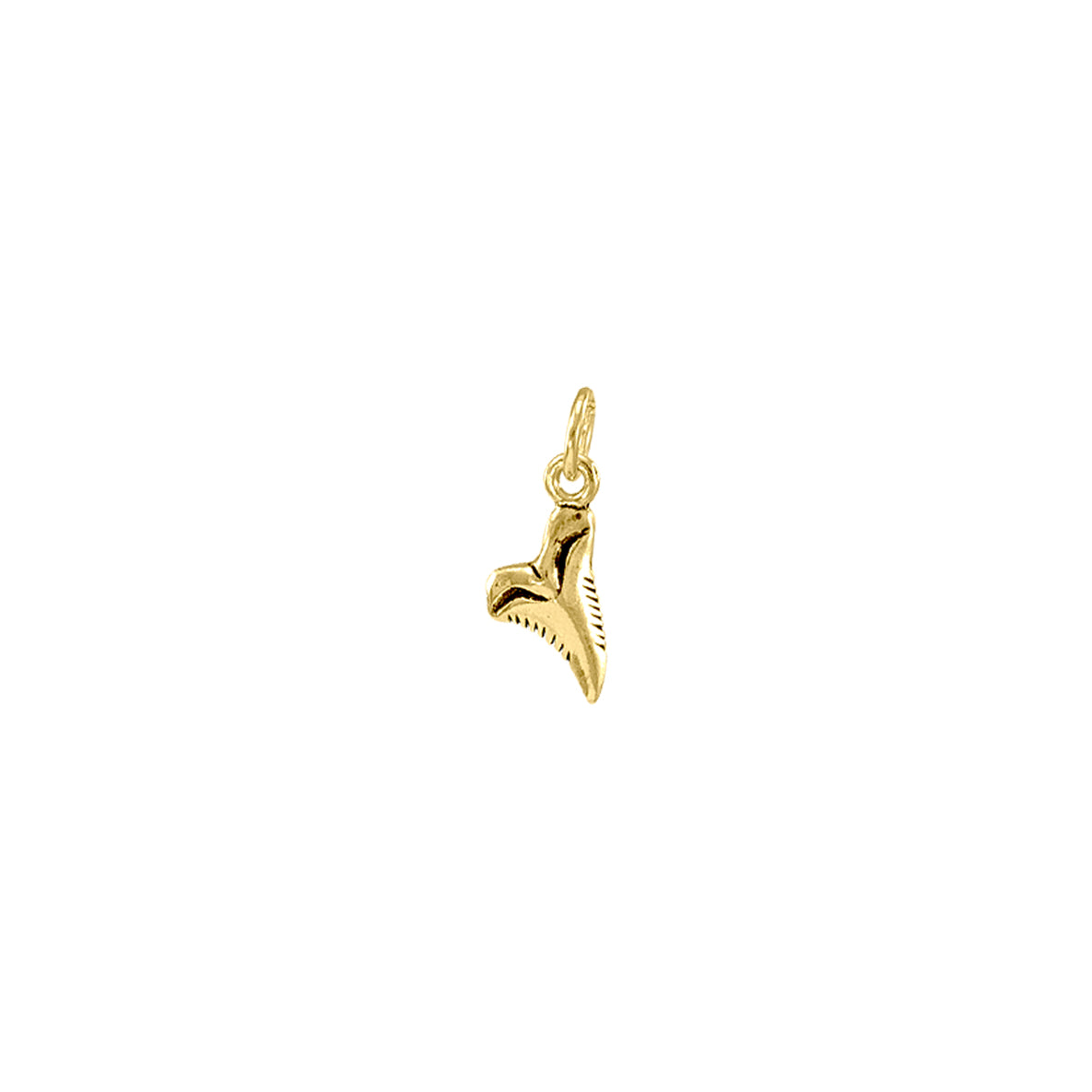 Shark Tooth Solid Gold Charm GTC491
