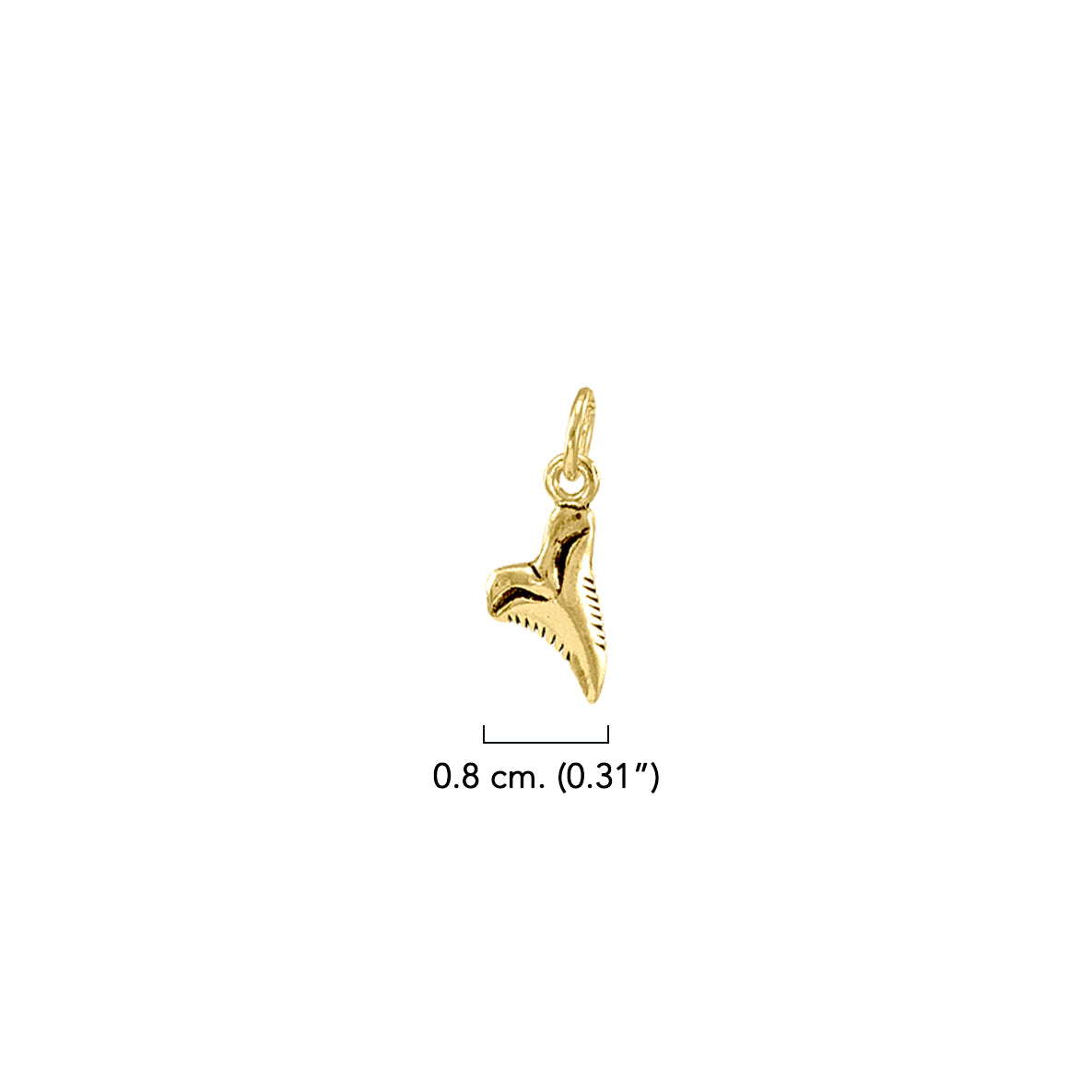 Shark Tooth Solid Gold Charm GTC491