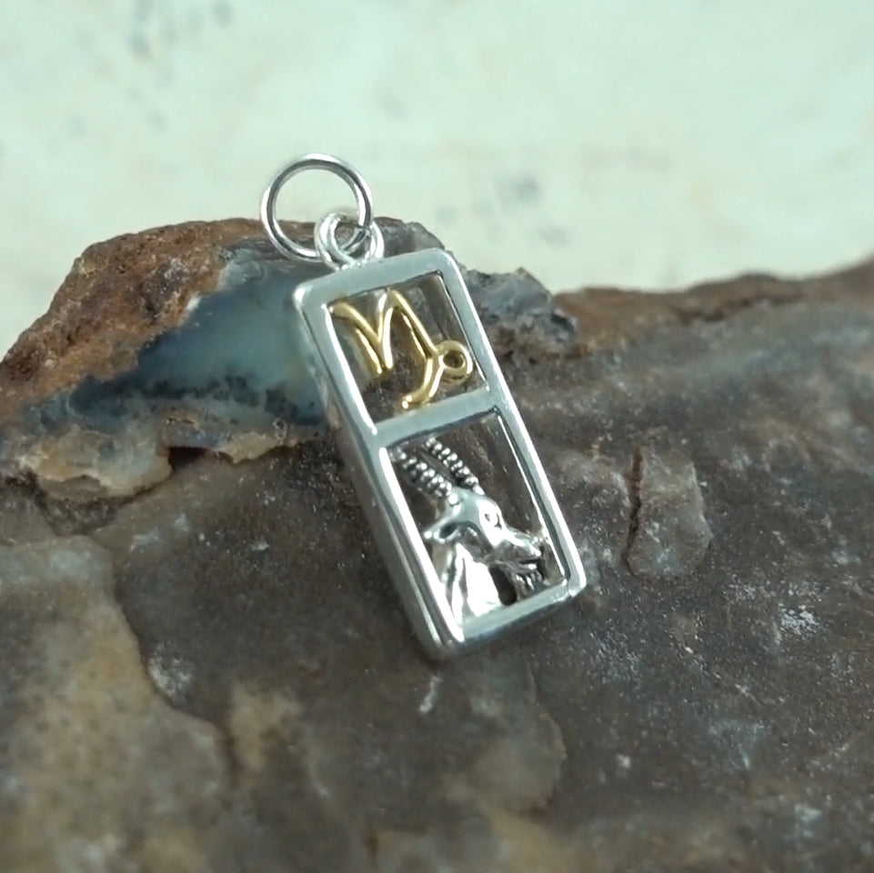 Capricorn Silver and 14k Gold accent Charm MCM292