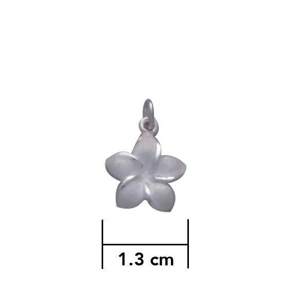 Plumeria - Hawaii National Flower Silver ฺCharm TC904 - DiveSilver Jewelry