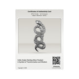 Celtic Snake Sterling Silver Pendant A Symbol of Transformation and Wisdom TPD6395