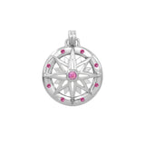 Wander through my compass ~ Sterling Silver Pendant and Gemstone TPD683