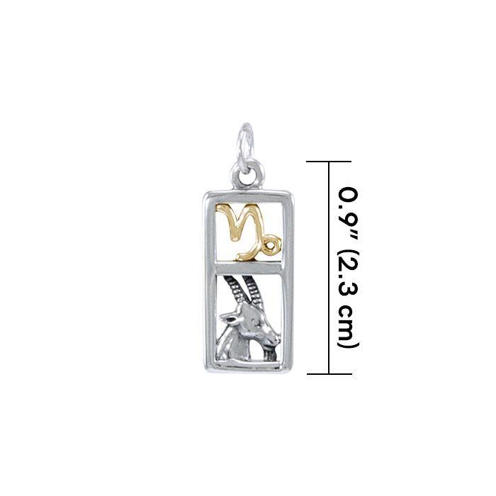 Capricorn Silver and 14k Gold accent Charm MCM292 - Jewelry