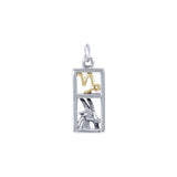 Capricorn Silver and 14k Gold accent Charm MCM292