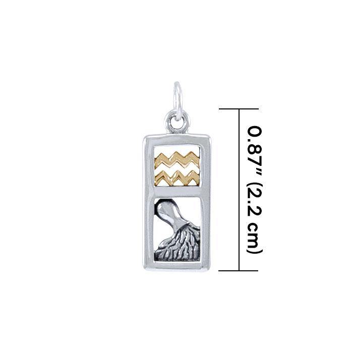 Aquarius Silver and 14k Gold accent Charm MCM293 - Jewelry