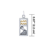 Aquarius Silver and 14k Gold accent Charm MCM293 - Jewelry