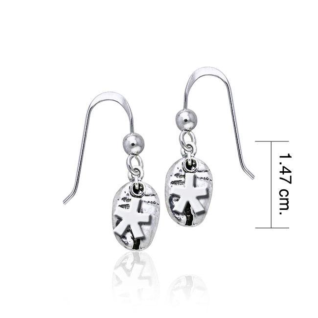 Coffee Bean Earrings TE627 - Jewelry
