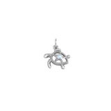 Turtle with Starfish and Gemstone Sterling Silver Charm TCM719 by TCM719
