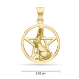 Pentáculo del Conejo GPD2997