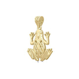 Celtic Frog Solid Gold Pendant GPD5691 - Jewelry