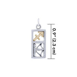 Sagittarius Silver and Gold Charm MCM303 - Jewelry