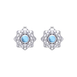 Sahasrara Crown Chakra Sterling Silver Post Earrings TER2046 - Jewelry
