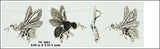 Bee Sterling Silver Pendant TP1601 - Jewelry