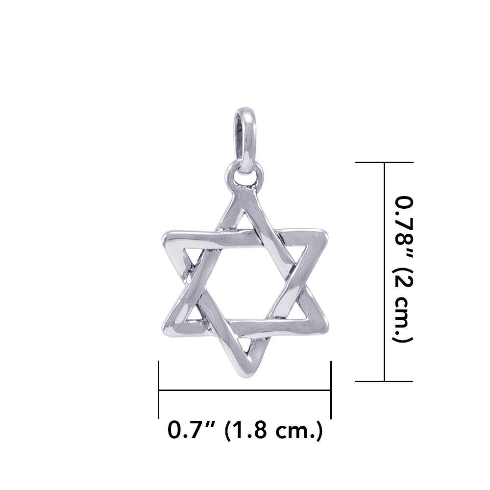 最高品質の Star of David Pendant TPD4592 その他
