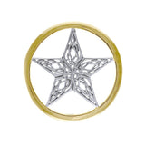 A Timeless Magick in Celtic Knotwork ~ A Silver Star in Gold Pendant TPV3459 - Jewelry